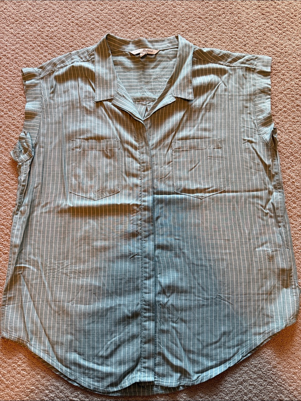 Striped Sleeveless Button-Down Shirt in Light Green